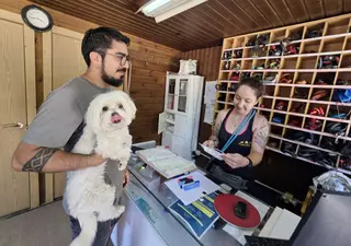Vacaciones vip para mascotas en Vigo