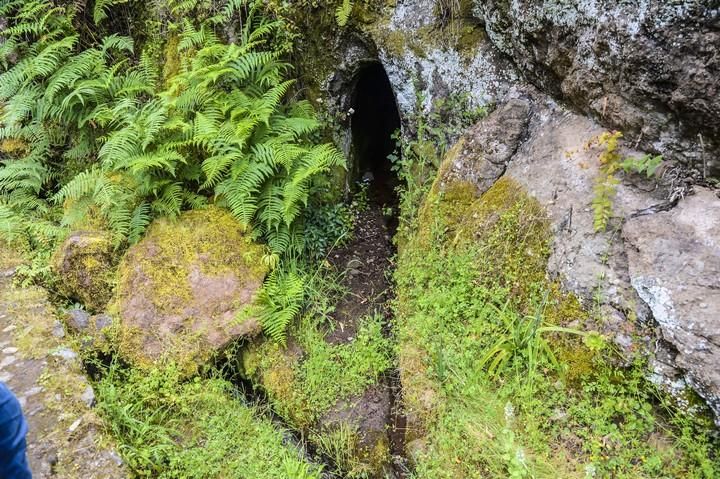 NACIENTES DE AGUA EN EL BARRANCO DE LA VIRGEN