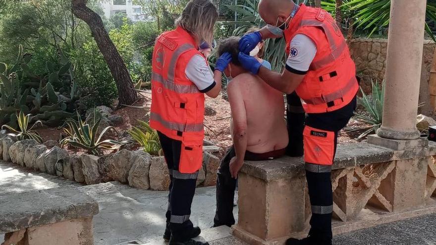 Der Rettungsdienst entfernte die Stachel aus dem Rücken.