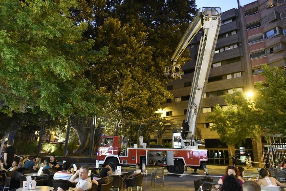 Se quiebra una rama del ficus de Santo Domingo