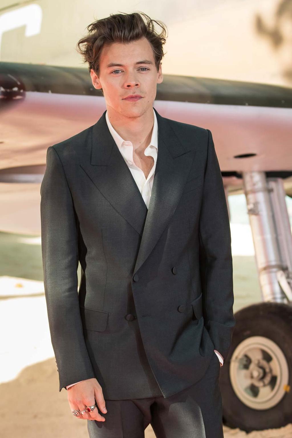 Harry Styles, encantado con su novia Camille Rowe