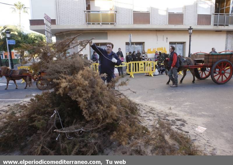 GALERÍA DE FOTOS -- Orpesa celebra Sant Antoni con carreras y bendición de animales