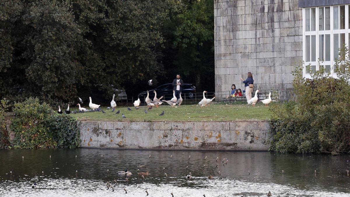 Varias persoas na contorna da Lagoa do Auditorio de Galicia en Santiago.