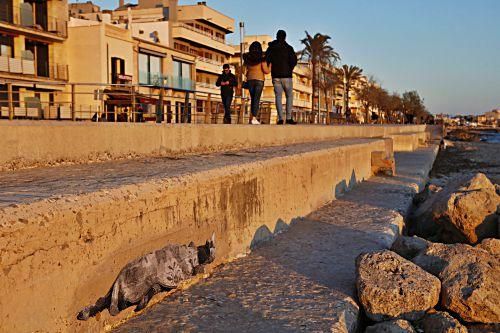 gleichgueltigkeit fotos fluechtlinge mallorca