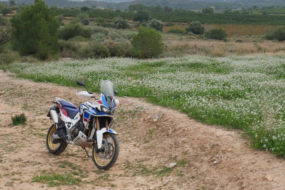 Probamos la Honda Africa Twin Adventure Sports