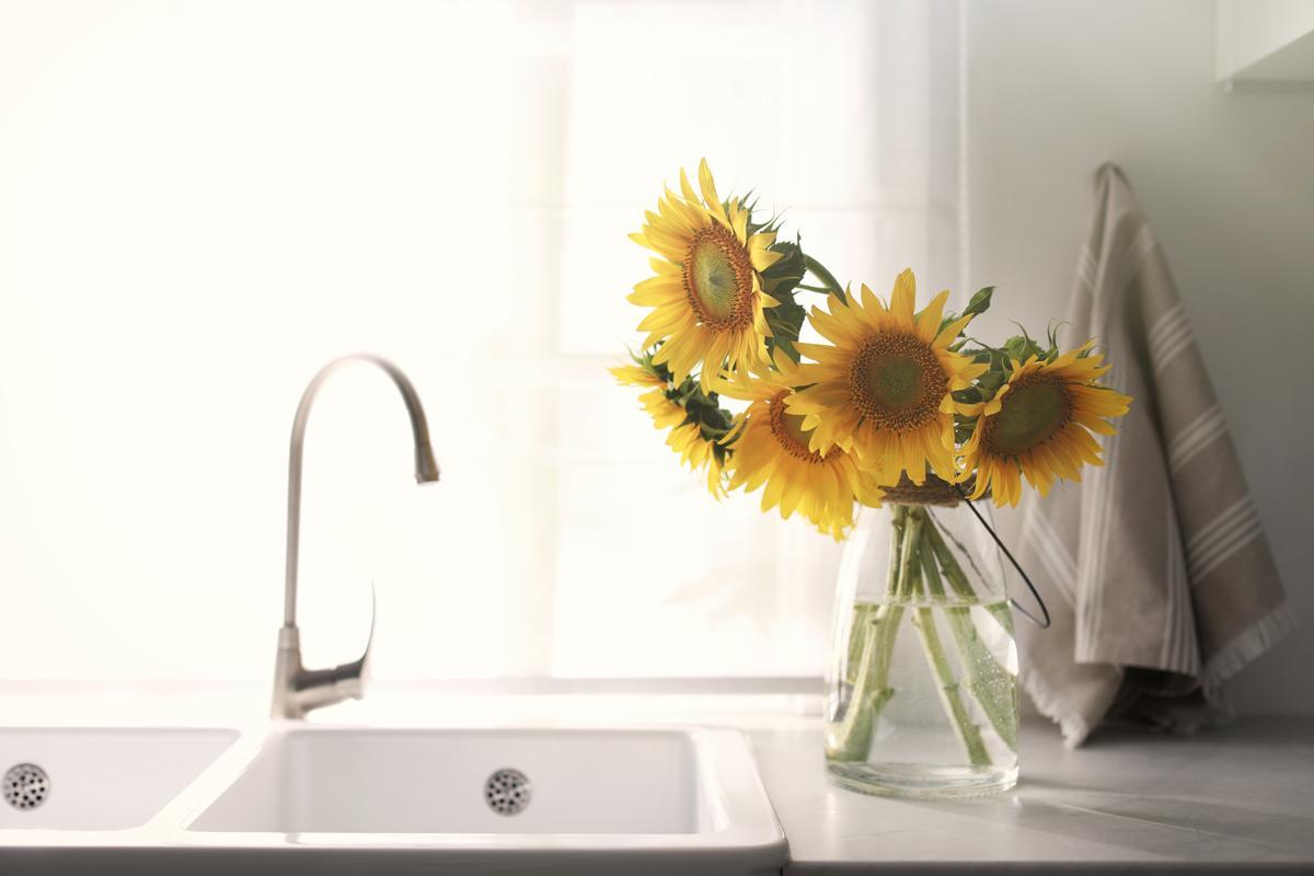 Los girasoles también se pueden colocar en la cocina o en el baño