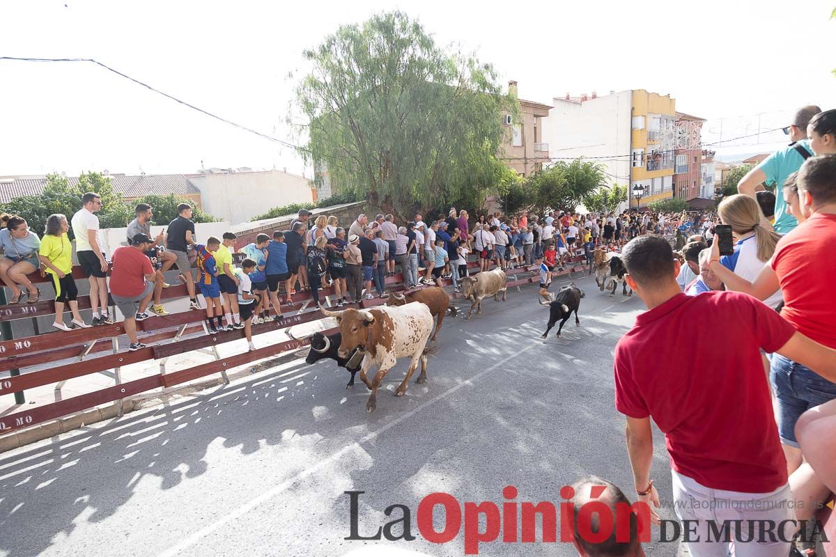 Séptimo encierro de las Fiestas de Moratalla