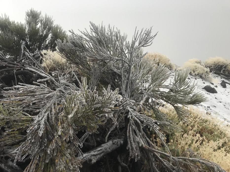 Temporal de viento, lluvia y oleaje en Tenerife