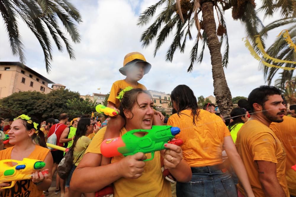 Canamunt vs Canavall: guerra líquida en Palma