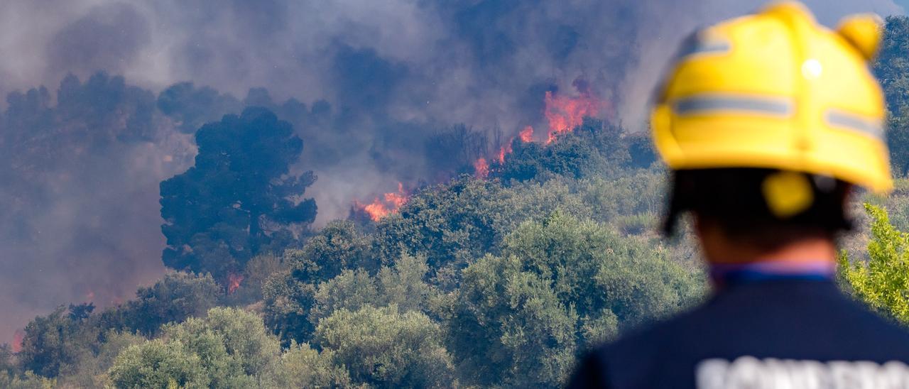 Incendio forestal en la Vall d&#039;Ebo.
