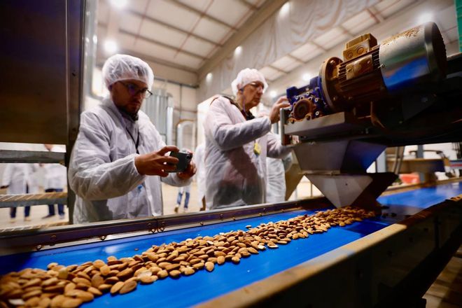 La nueva planta de almedras de Dcoop en Córdoba, en imágenes