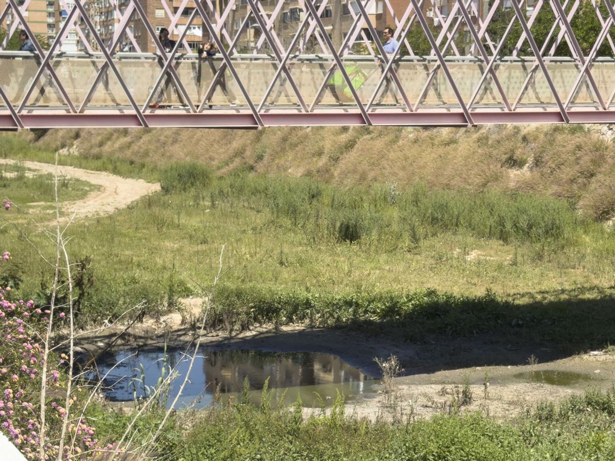 Charco de agua estancada este lunes en el cauce urbano de la Rambla de Benipila en Cartagena