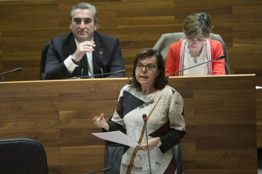 Pleno en la Junta General del Principado de Asturias