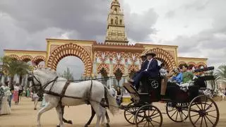 Se busca veterinario para atender a los caballos que vayan a la Feria de Córdoba
