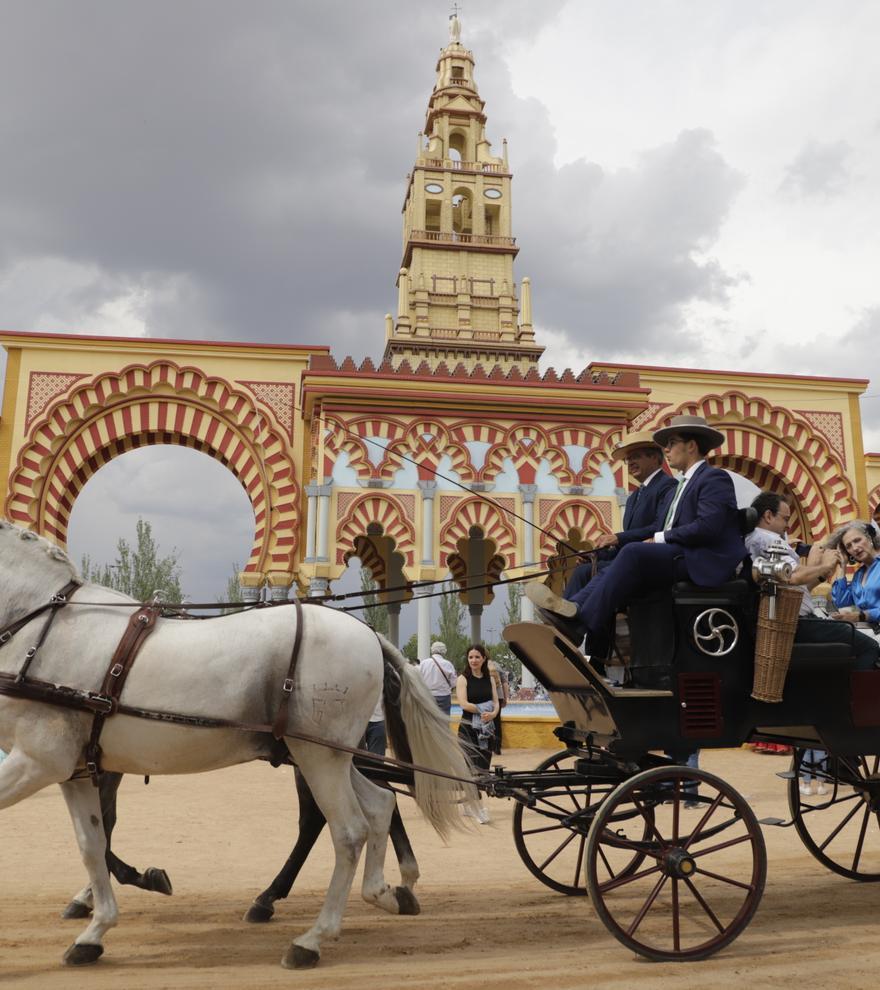 Se busca veterinario para atender a los caballos que vayan a la Feria de Córdoba