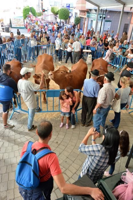 FIESTAS DE SAN GREGORIO