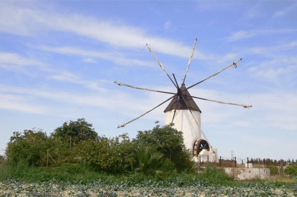 Molinos en Peligro de Extinción