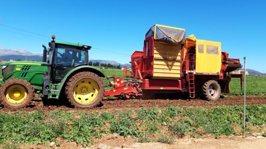 La agricultura de Baleares afronta unos meses de mucho calor y falta de agua