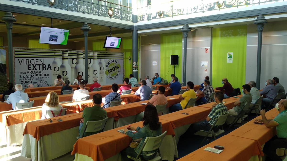 Sesión matinal de las jornadas de profesionalización para agricultores.