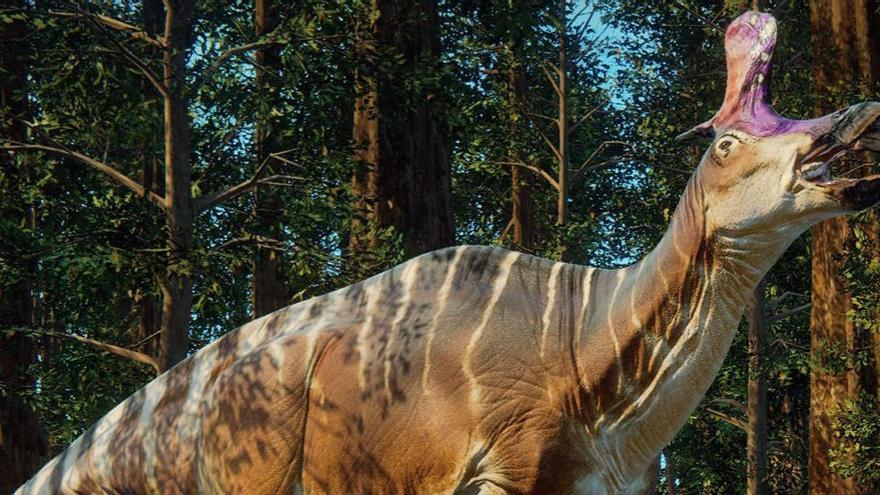 Los dinosaurios podrían haber cruzado el océano - Levante-EMV Los dinosaurios podrían haber cruzado el océano - Levante-EMV