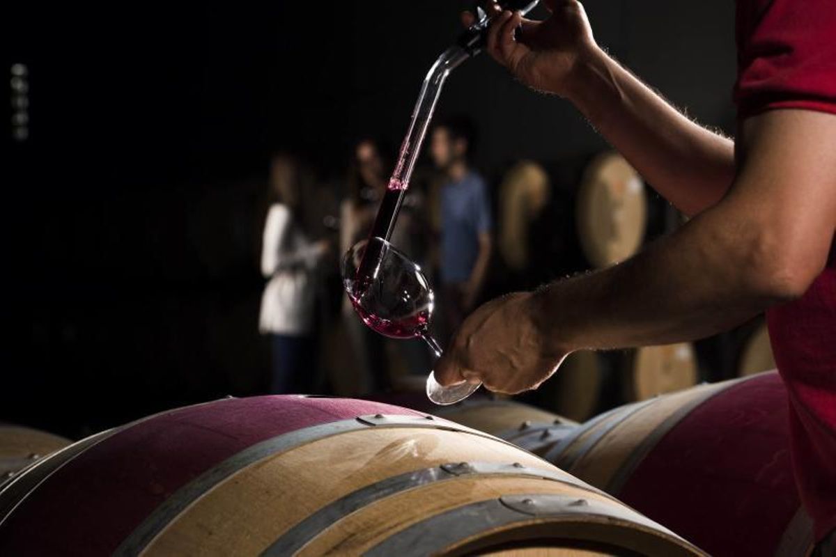 Un trabajador extrae una muestra de vino de un tonel en las bodegas de la familia Torres.