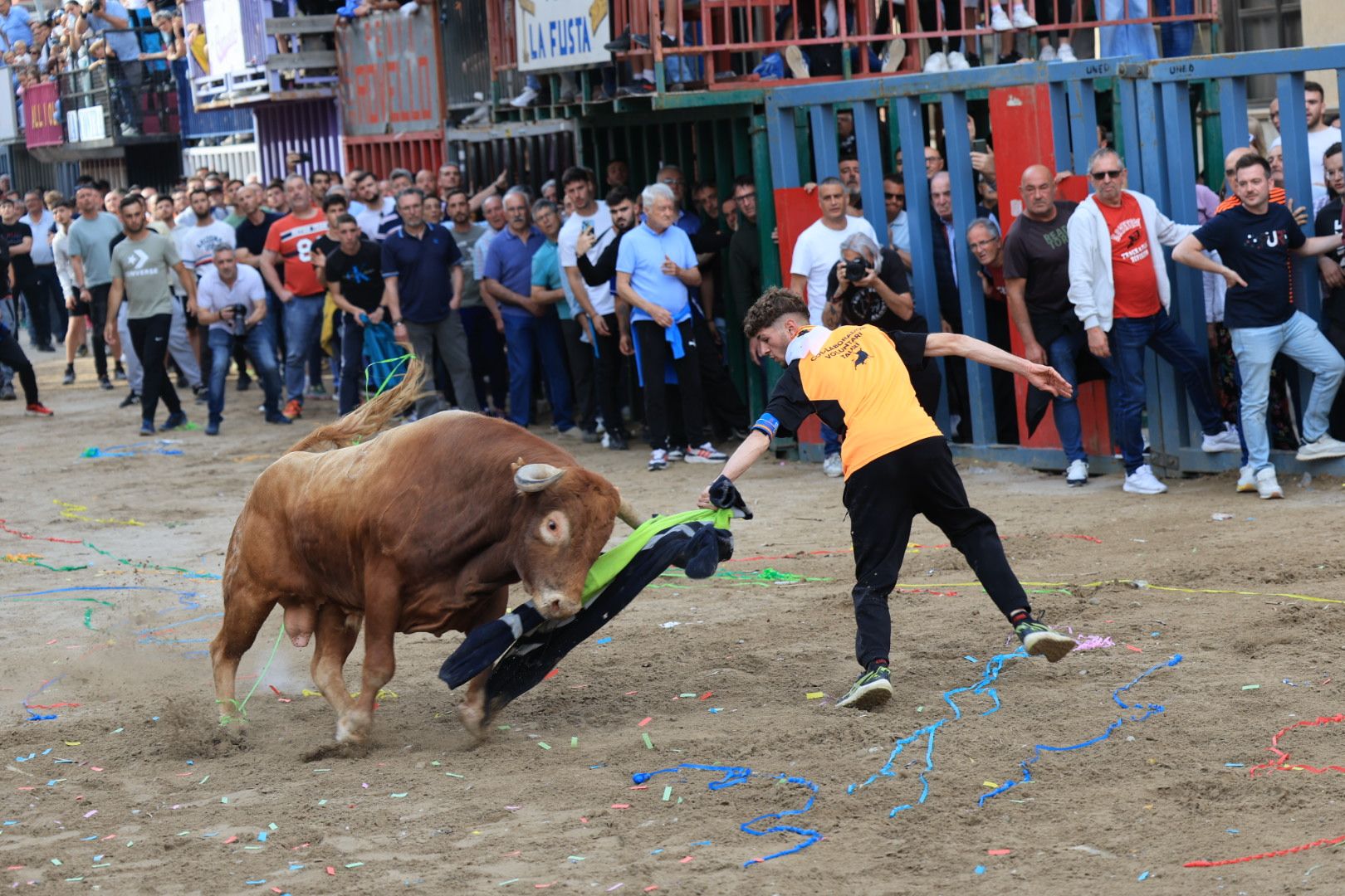Fotos de la tarde taurina del jueves de las fiestas de Sant Pasqual en Vila-real