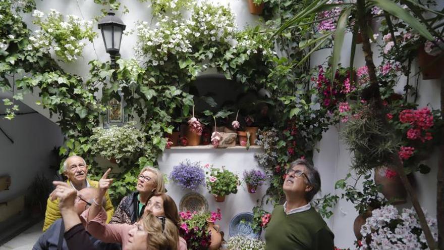 El Alcázar Viejo, doce patios cargados de tradición