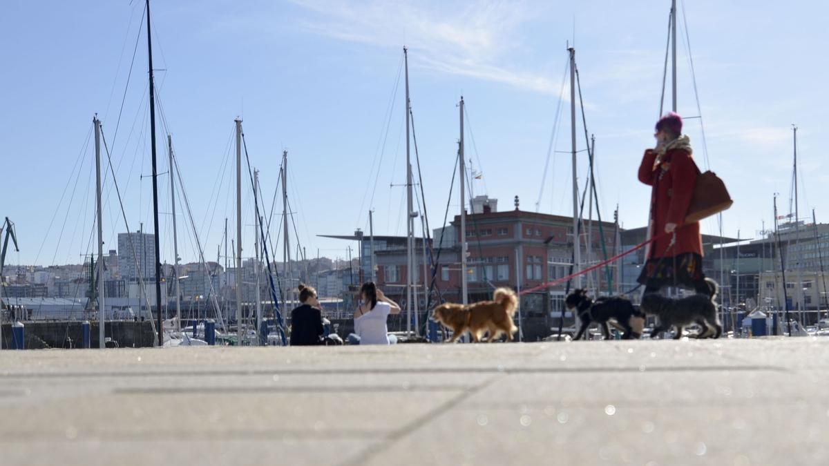 La Marina de A Coruña, un día soleado de invierno.