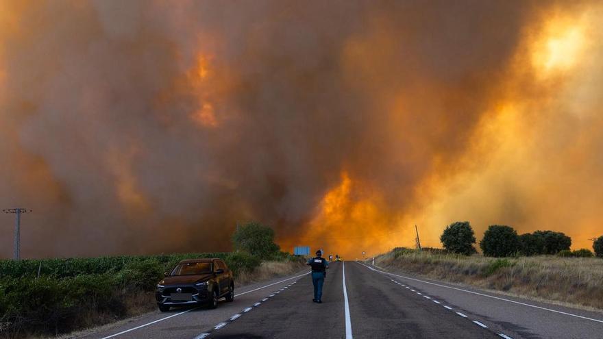 Última hora de los incendios en España, en directo | Estabilizan el fuego en Madrid, pero preocupa otro en Zamora que obliga a evacuar 12 municipios
