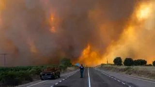 Última hora de los incendios en España, en directo | Dos desalojos más por el incendio forestal de Zamora, combatido por 50 medios por la noche
