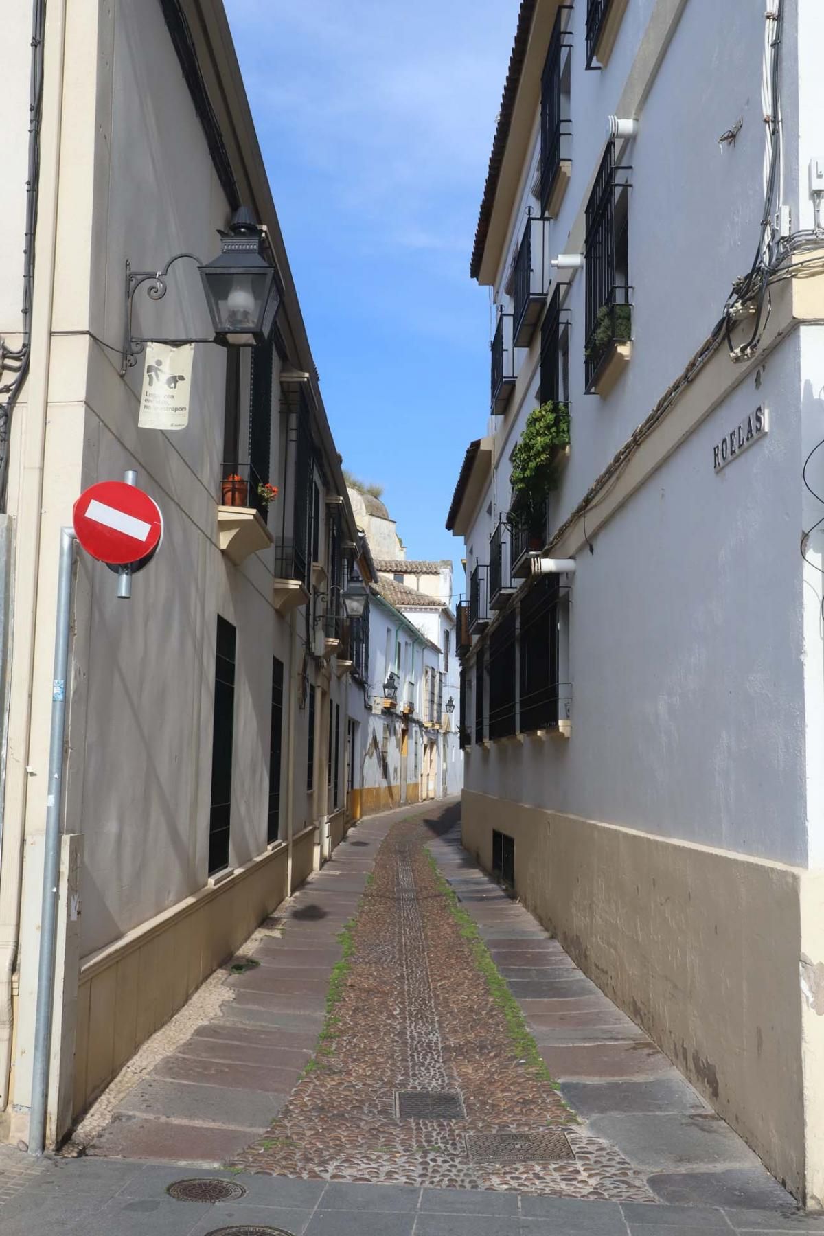 El Domingo de Ramos que no fue