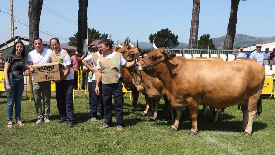 El alcalde de Llanera, Gerardo Sanz (segundo por la izquierda), entrega el premio al segundo mejor lote de animales de doble grupa a la ganadería llanerense de Ángel Iglesias.