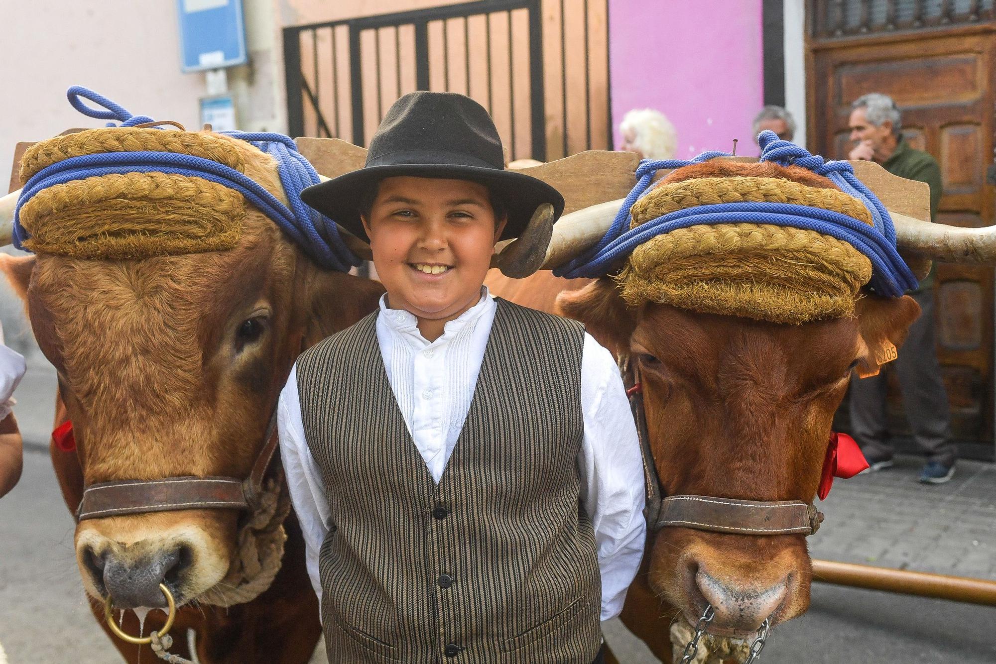 Romería de San Juan en Telde