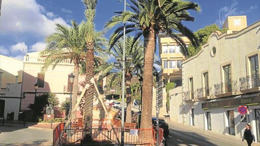 Benicàssim tiene ya palmera en la fuente del señor