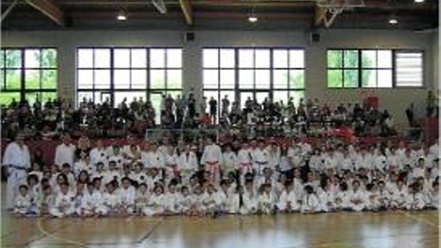 Arts Marcials Trobada de Tai Jitsu amb 200 nens
