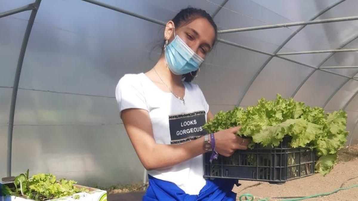 La casa de las plantas, un proyecto para descubrir el futuro laboral