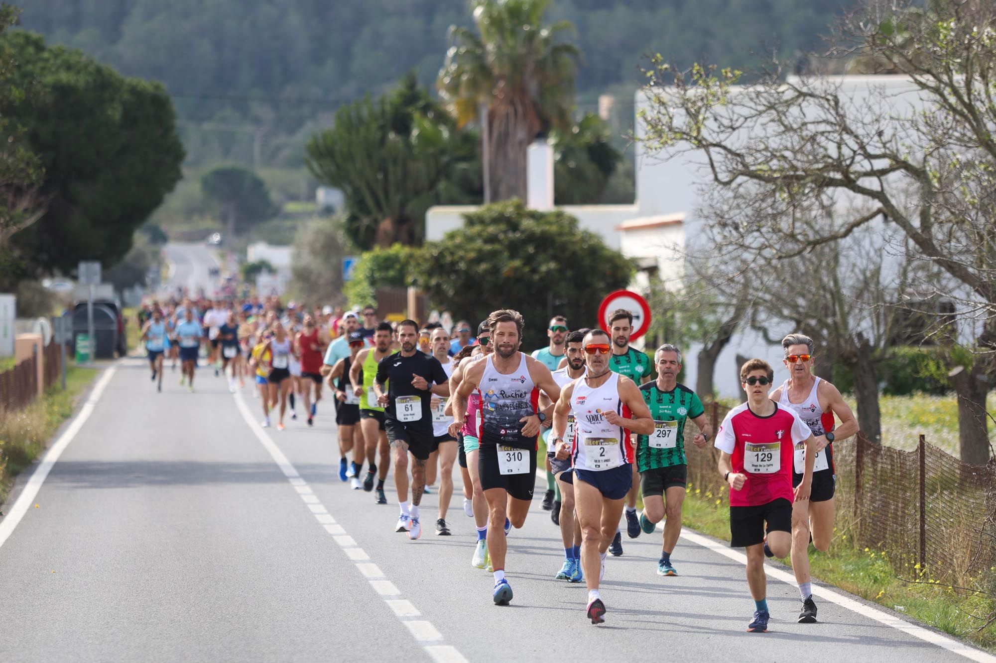 Todas las imágenes de la Cursa Flor d'Ametller en Santa Agnès de Corona