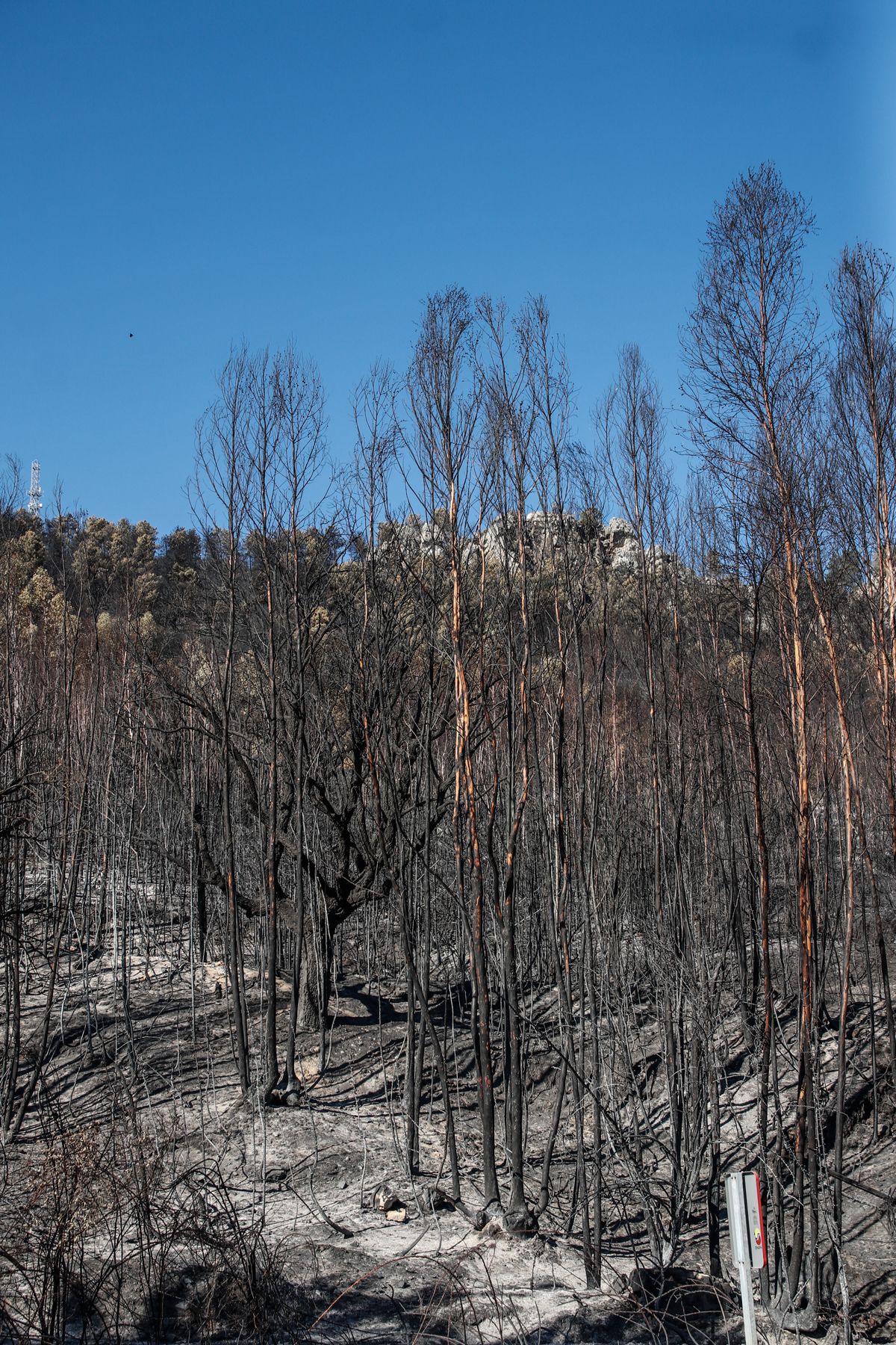 Así quedó la zona de Casas de Miravete y Monfragüe tras el incendio