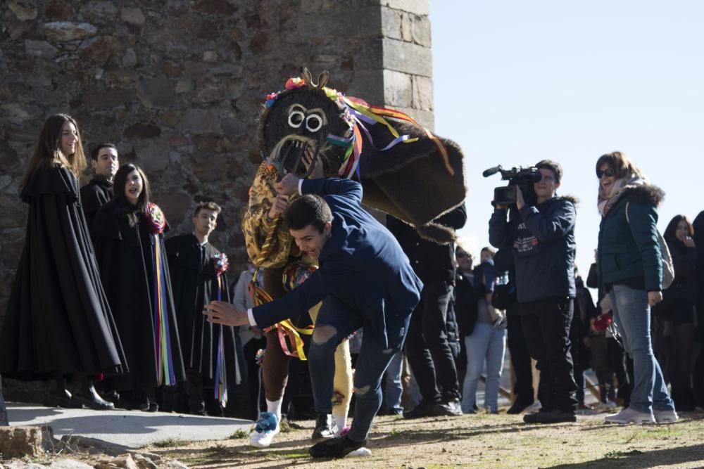 Zangarrón de Montamarta (1 de enero del 2019)