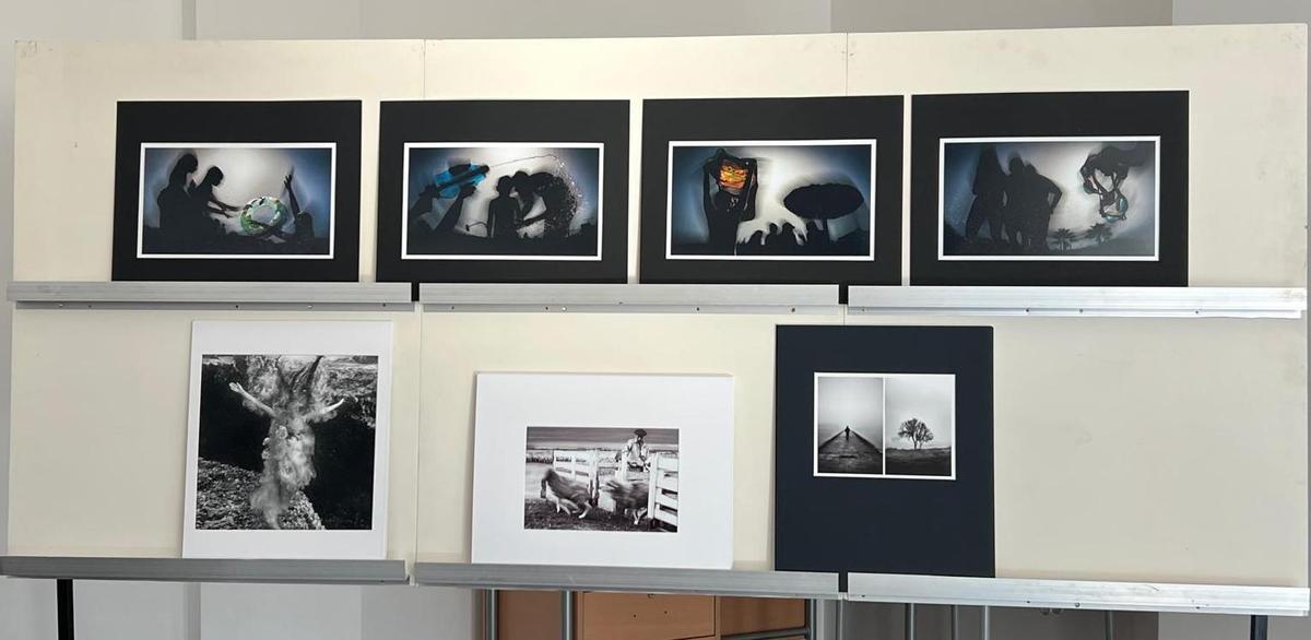 Mejor colección y premiadas.