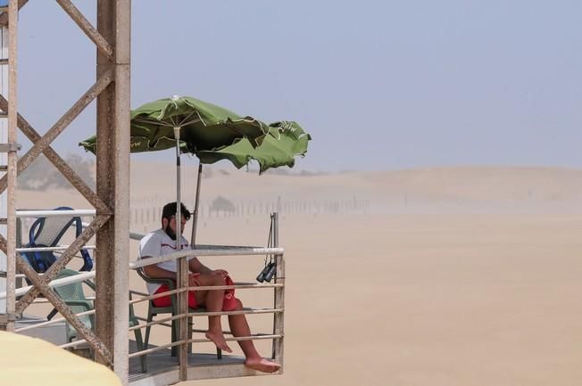 Reportaje excursiones con camellos en las Dunas ...