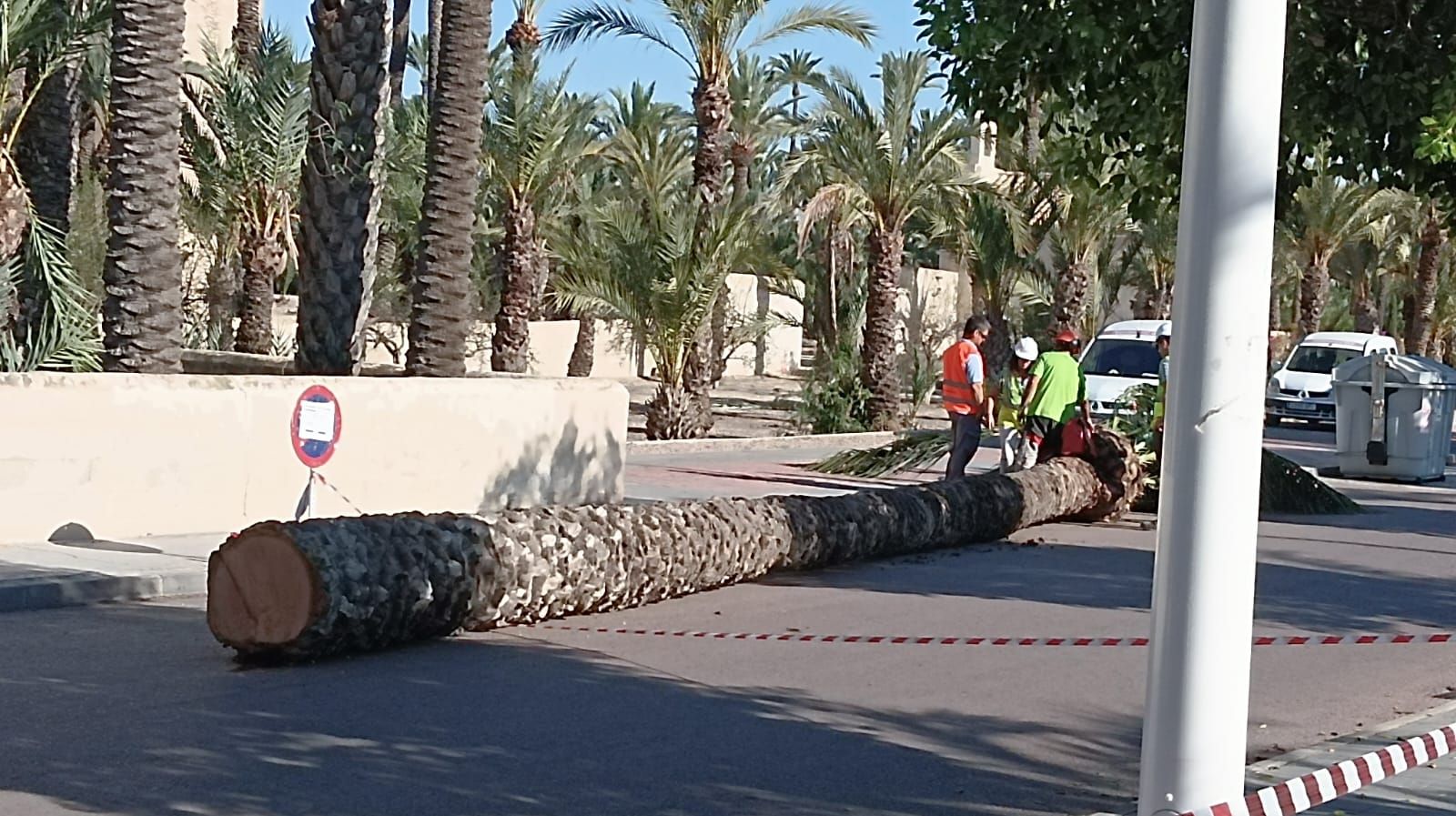 Cortes de calles y retenciones por motivos relacionados con las palmeras