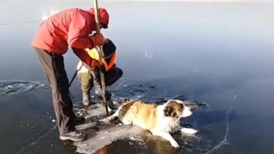 Rescate de un perro atrapado en el hielo de un lago siberiano