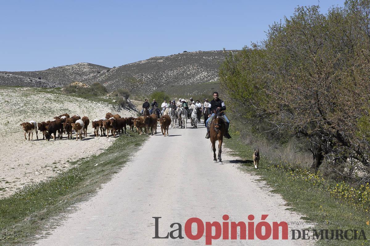 trashumancia/Ganadería La Junquera_004