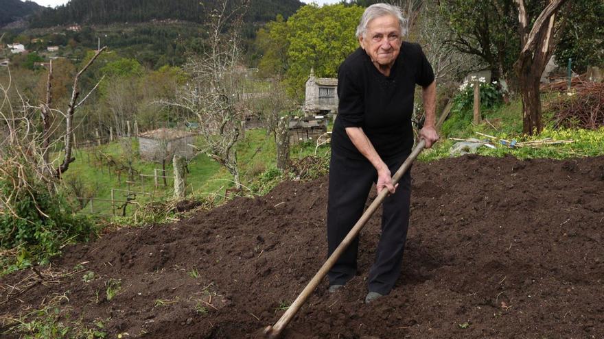 Rosa, en uno de sus campos de cultivo, ayer.