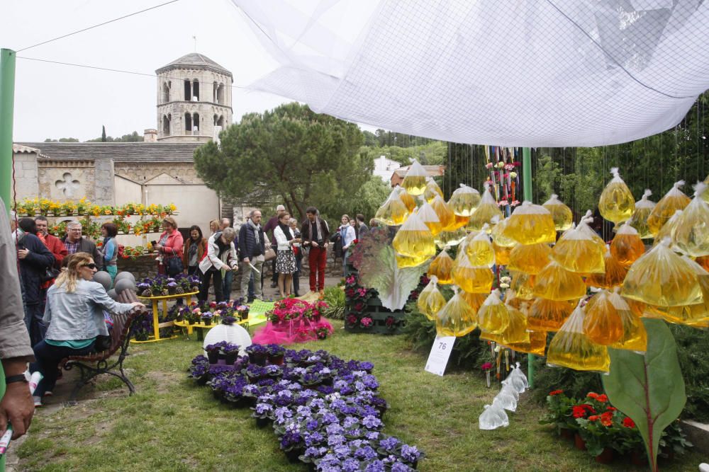 Girona floreix amb «Temps de Flors»