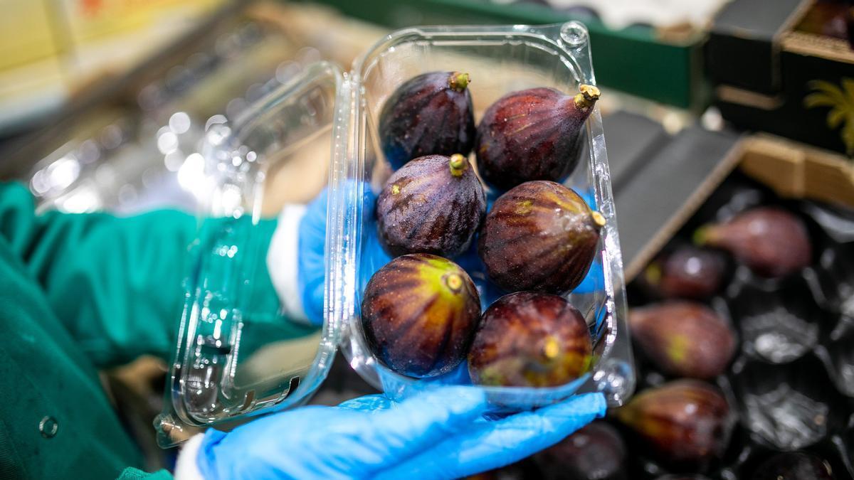 Mercadona comprará 1.800 toneladas de higos y brevas a proveedores de Alicante