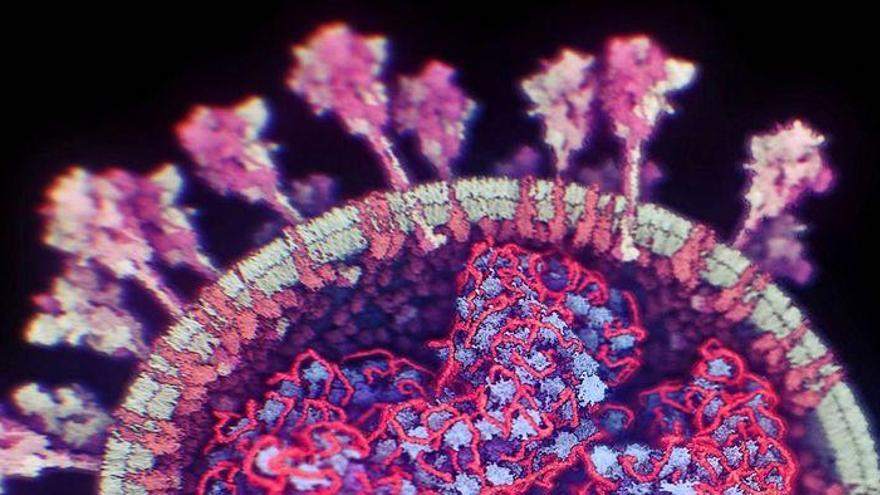 Primera imatge real en 3D del coronavirus SARS-CoV-2, que causa la COVID-19