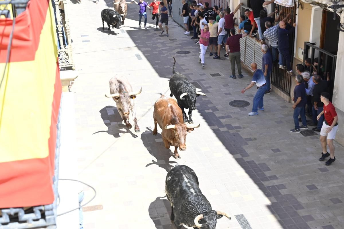 Galería | Almassora vibra con el encierro de cerriles de Gerardo Ortega