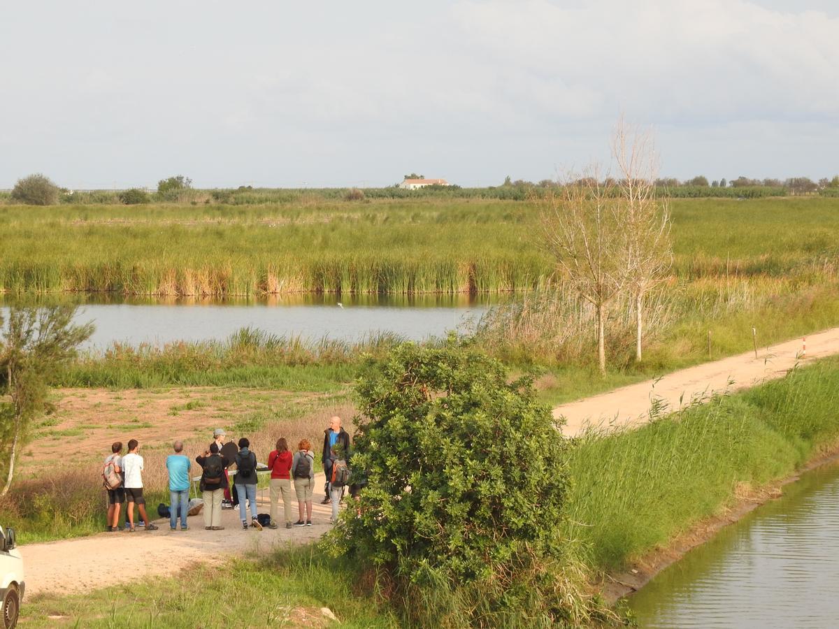 El Delta Birding Festival reunió en el espacio MónNatura Delta del Ebro a miles de ornitólogos y naturalistas